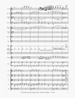 Salsa Bells von Benedikt Brydern 