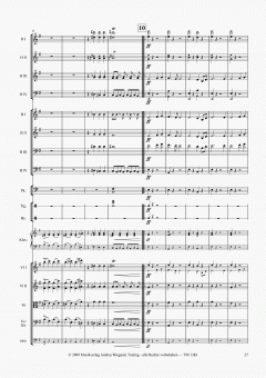 Aus der Neuen Welt von Antonín Dvorák 