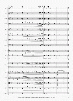 Aus der Neuen Welt von Antonín Dvorák 