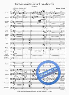 Die Abenteuer des Tom Sawyer & Huckleberry Finn von Benedikt Brydern 