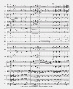 Pegasus - Ride on Wings von Rainer Fabich 