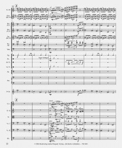 Pegasus - Ride on Wings von Rainer Fabich 