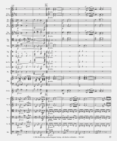 Pegasus - Ride on Wings von Rainer Fabich 