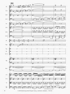 Die Moldau von Bedrich Smetana 