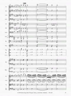 Die Moldau von Bedrich Smetana 