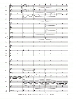 Die Moldau von Bedrich Smetana 