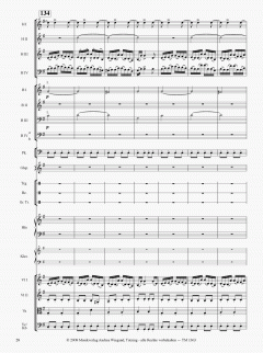 Die Moldau von Bedrich Smetana 