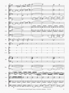 Die Moldau von Bedrich Smetana 