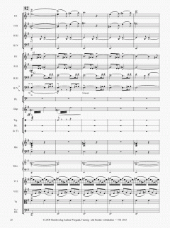 Die Moldau von Bedrich Smetana 