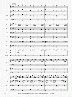 Die Moldau von Bedrich Smetana 