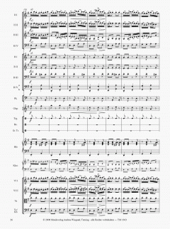 Die Moldau von Bedrich Smetana 