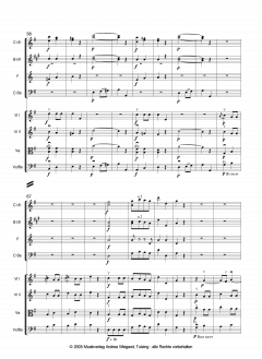 Figaros Hochzeit von Wolfgang Amadeus Mozart 