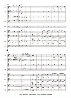 Figaros Hochzeit von Wolfgang Amadeus Mozart 
