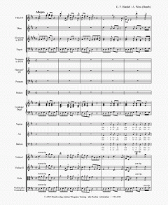 Das Weihnachtskonzert 