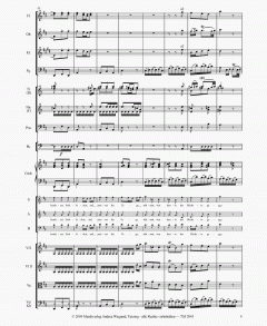 Das Weihnachtskonzert 