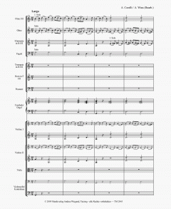 Das Weihnachtskonzert 