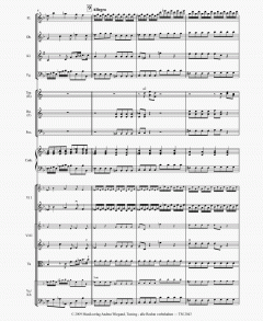 Das Weihnachtskonzert 