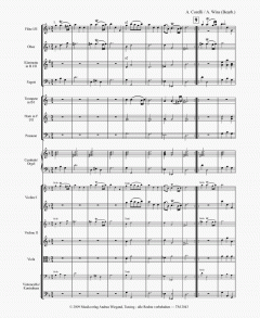 Das Weihnachtskonzert 