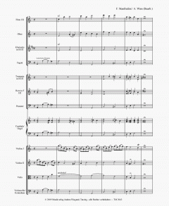 Das Weihnachtskonzert 