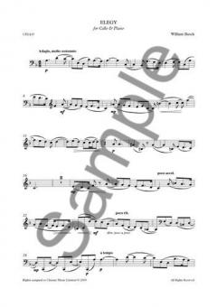 Elegy von William Busch 