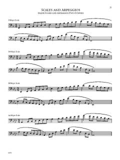 Protocol: A Guide To The Collegiate Audition Process von Larry Clark 