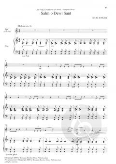 The Boosey & Hawkes Trumpet Anthology im Alle Noten Shop kaufen