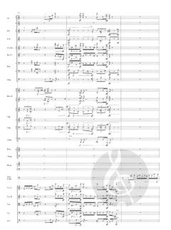 Cello Concerto von Elliott Carter 