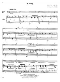 A Song von Hugo Schlemüller 