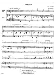 Caballero von J. Isaak Merle 