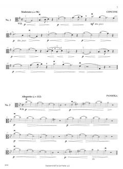 Studies in Lyricism von Doris Gazda 