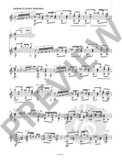 Fantaisie sur des motifs hongrois von Johann Dubez 