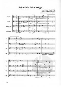 Streicher sind klasse von Birgit Boch im Alle Noten Shop kaufen