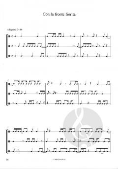 Flute Renaissance Trios and Quartets Vol. 1 