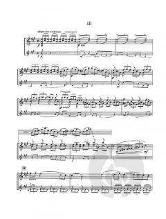 Sonate pour 2 violons seuls op. posth. von Eugene Ysaye 