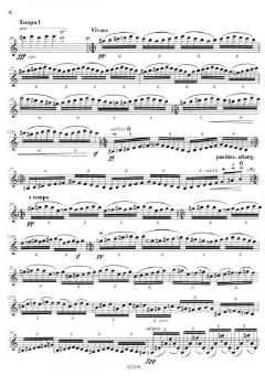 Gypsy Melody von Rodion Konstantinowitsch Schtschedrin 