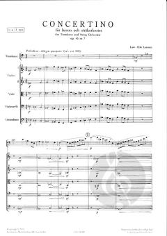Concertino op. 45/7 von Lars-Erik Larsson 