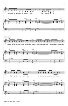 Party In The U.S.A. (Miley Cyrus) 