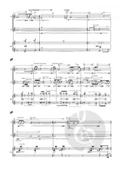 tourbillon. musik für violine, violoncello und klavier (Philipp Maintz) 