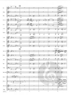 Aztec Fire von Jay Bocook 