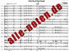 I Got You (I Feel Good) (James Brown) 