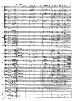 Blue Ridge Saga (James Swearingen) 