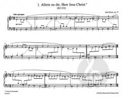 Choralvorspiele op. 57, Band IV von Karl Hoyer 