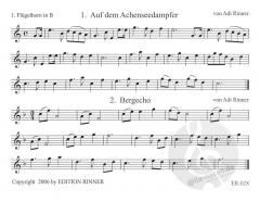 21 Weisen aus dem Alpenland von Adi Rinner 