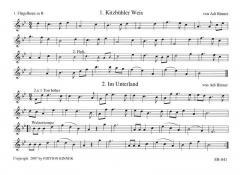 Weisen aus dem Alpenland Folge 2 von Adi Rinner 