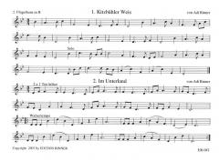 Weisen aus dem Alpenland Folge 2 von Adi Rinner 