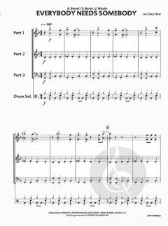 Everybody Needs Somebody von The Blues Brothers 