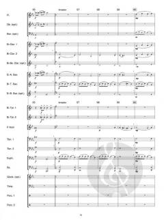 Zodiac von Jan de Haan 