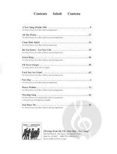 New Day New Song (Niko Schlenker) 