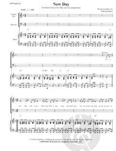 New Day New Song (Niko Schlenker) 