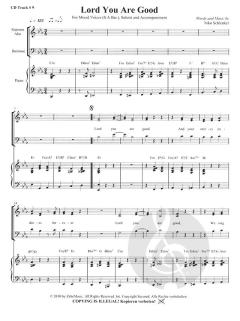 New Day New Song (Niko Schlenker) 